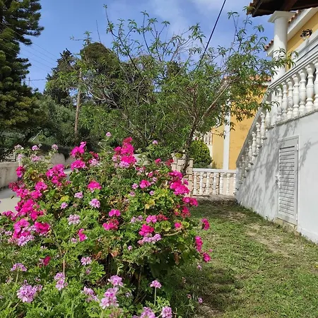 הוילה Akrotiri  Stranis Hill House Zakinthos מראה חיצוני תמונה